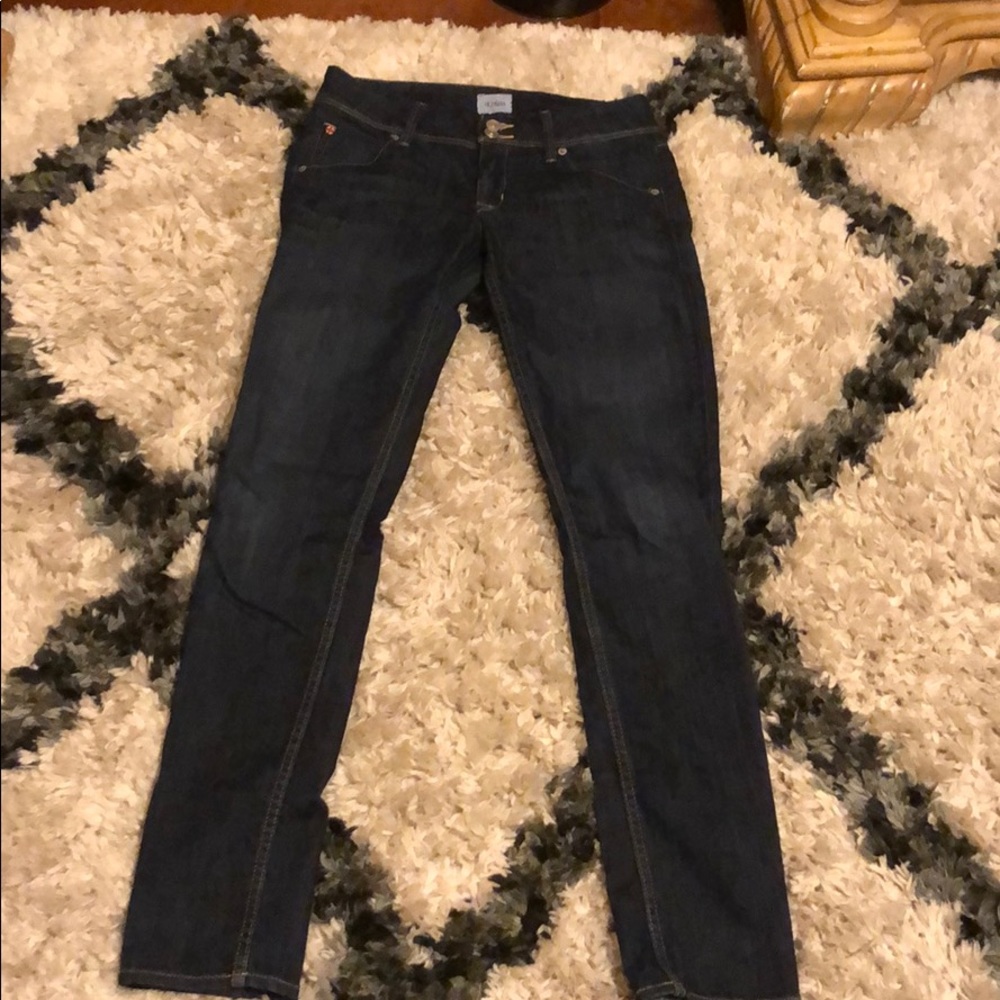 Hudson skinny
